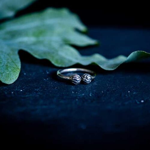 zilveren dames ring Louise