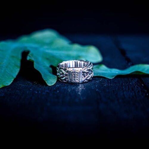 Zilveren dames en heren ring Adam