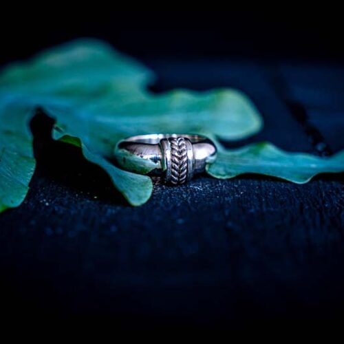 Zilveren dames ring Louise big