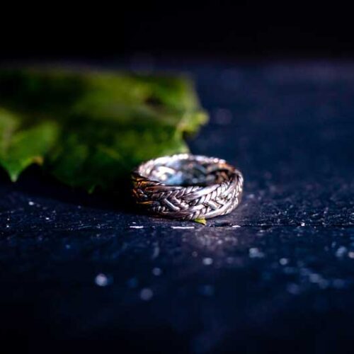 Zilveren dames en heren ring Future