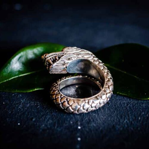 Zilveren heren ring Dragon