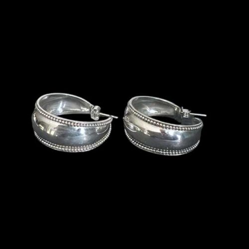 Zilveren oorbellen Nani