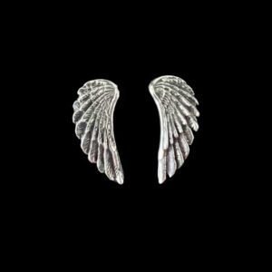 Oorbellen Angel wings
