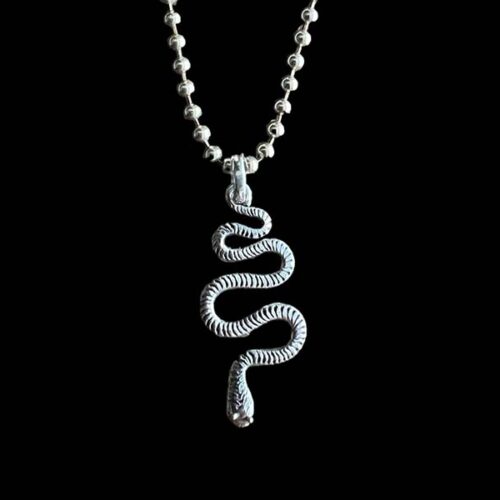 Zilveren Snake hanger
