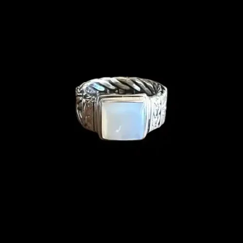 Zilveren dames en heren ring Pride white