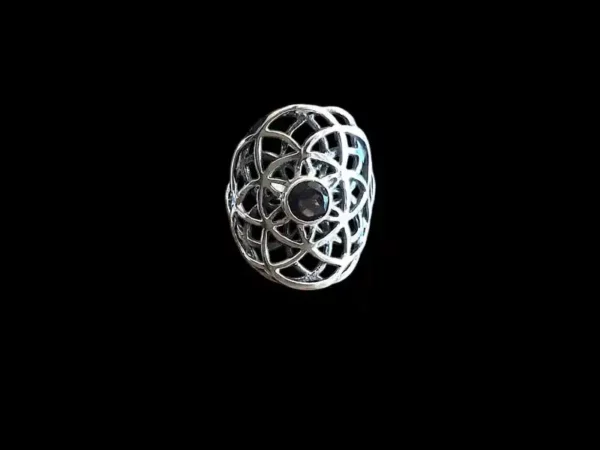 Photoroom 20250221 193225gr