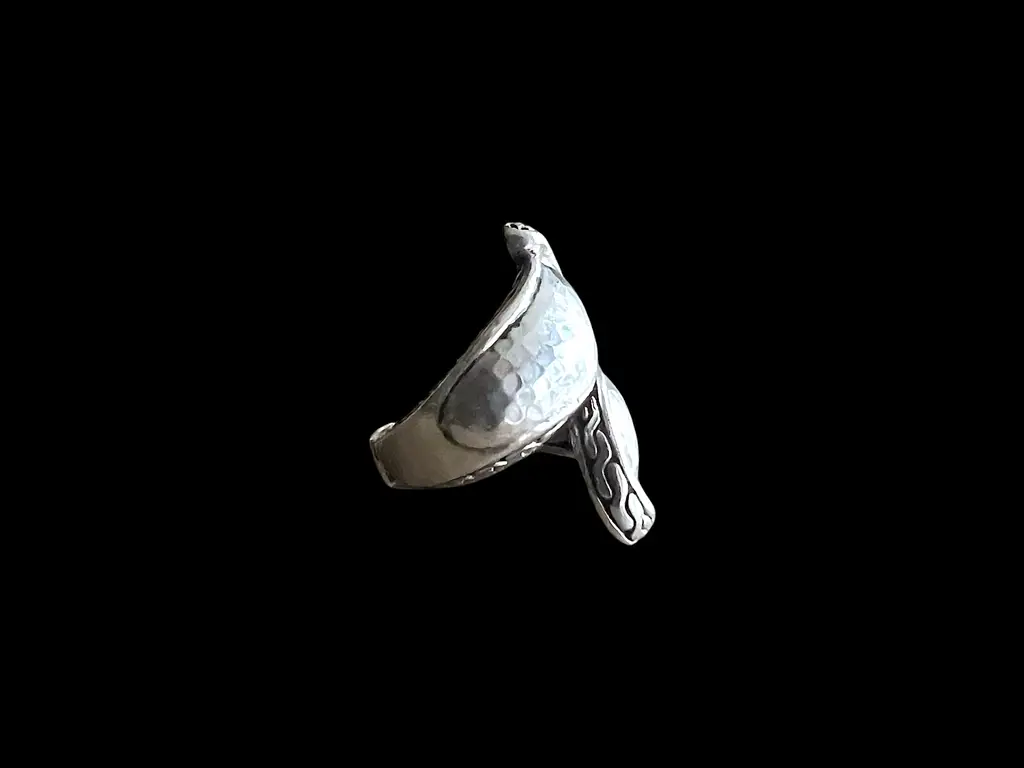 Zilveren dames ring Wanda 2 Zilveren dames ring Wanda - Afbeelding 2