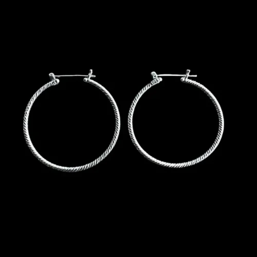 Zilveren oorbellen Laika