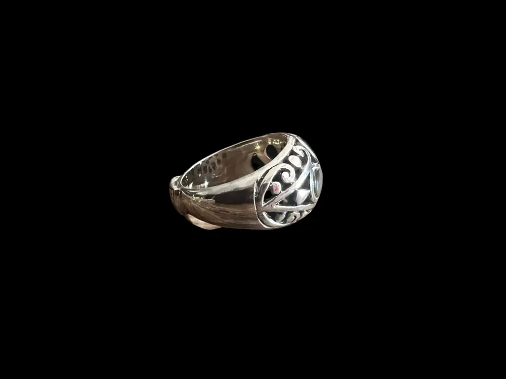 Zilveren dames ring Marny 3 Grote zilveren ring met Abalone schelp
