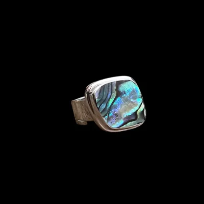 zilveren ring met abalone schelp