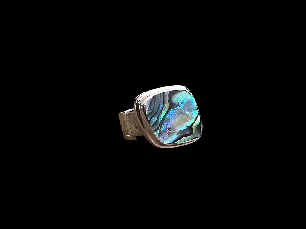Zilveren dames ring Yuli 1 zilveren ring met abalone schelp