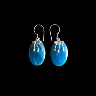 oorbellen met blauw detail