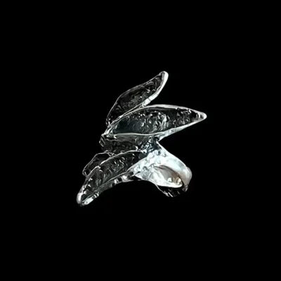 Grote zilveren dames ring Ring Fabricia